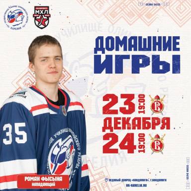 ДОМАШНИЕ ИГРЫ — фото